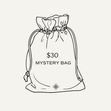 Load image into Gallery viewer, SASHA $30 Mystery Bag

