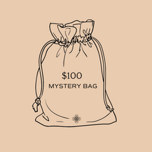 Load image into Gallery viewer, SASHA $100 Mystery Bag
